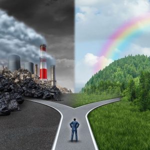 بررسی تصمیم